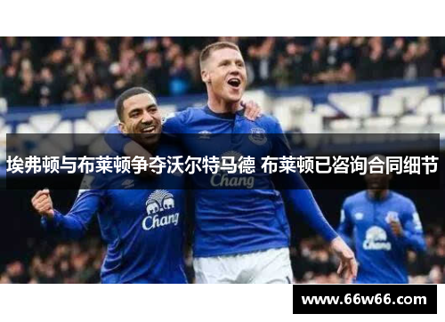 埃弗顿与布莱顿争夺沃尔特马德 布莱顿已咨询合同细节