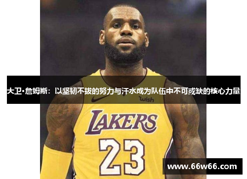 大卫·詹姆斯：以坚韧不拔的努力与汗水成为队伍中不可或缺的核心力量